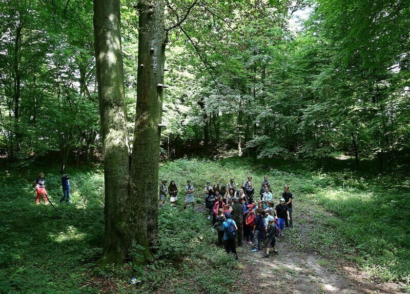 Zdjęcie 2: Kolejne warsztaty artystyczno-ekologiczne w ramach 