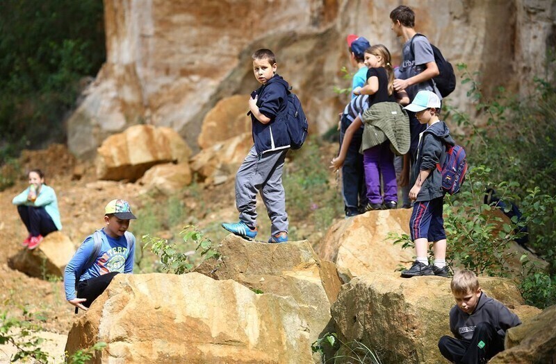 Zdjęcie 19: Kolejne warsztaty artystyczno-ekologiczne w ramach 