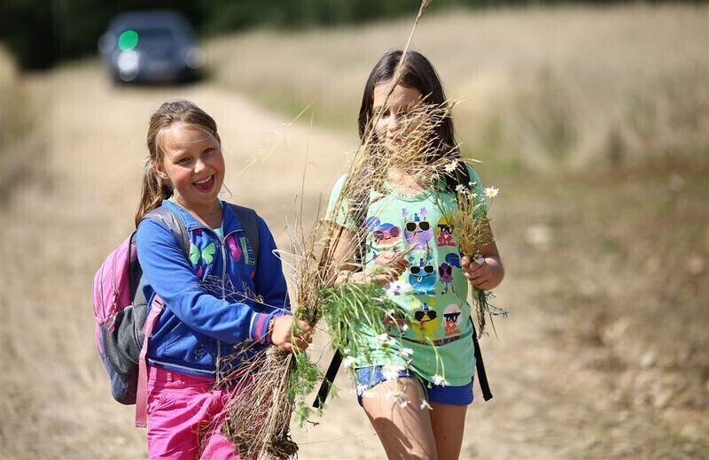 Zdjęcie 21: Kolejne warsztaty artystyczno-ekologiczne w ramach 