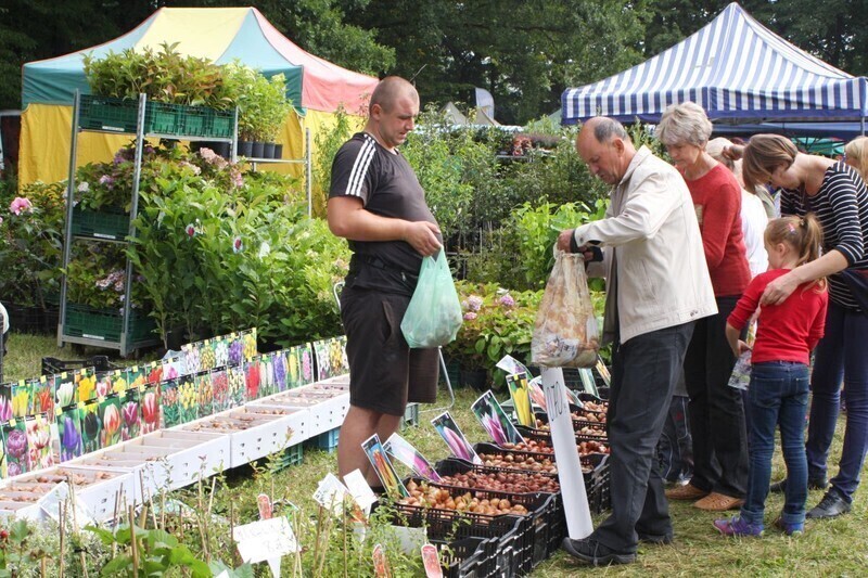Zdjęcie 2: Rol-Szansa trwa w najlepsze