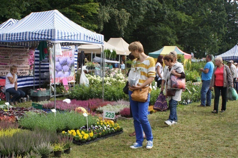 Zdjęcie 11: Rol-Szansa trwa w najlepsze