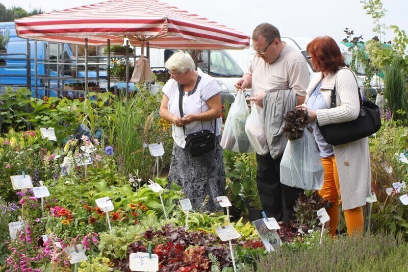 Zdjęcie 12: Rol-Szansa trwa w najlepsze