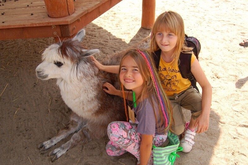 Zdjęcie 2: Dzieci z Piotrkowa na safari w Borysewie 