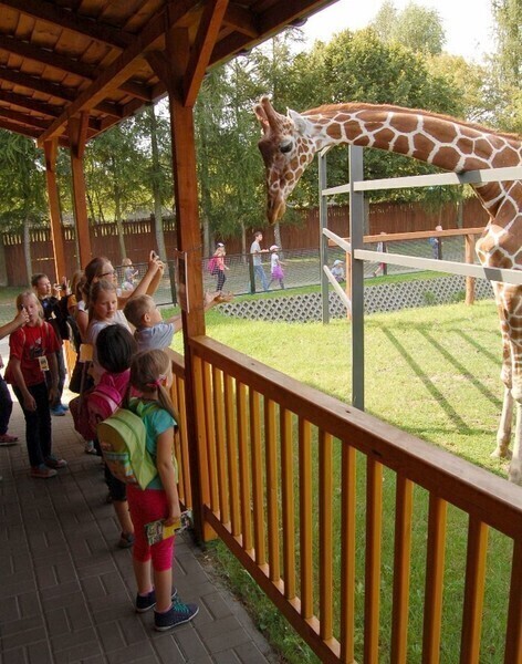 Zdjęcie 7: Dzieci z Piotrkowa na safari w Borysewie 