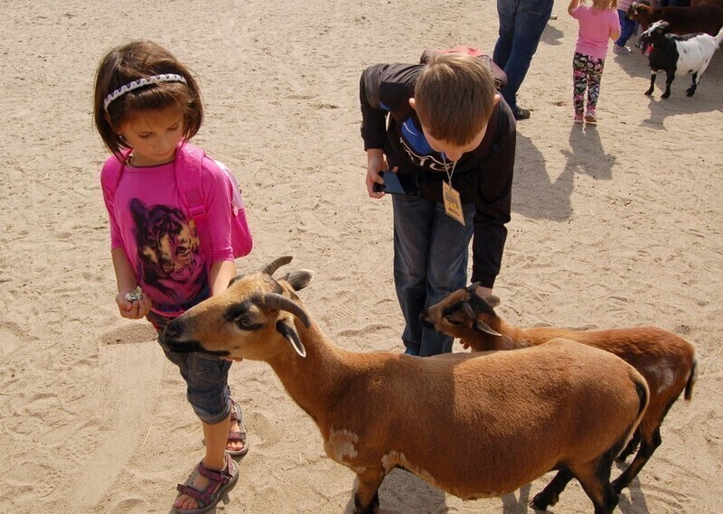 Zdjęcie 11: Dzieci z Piotrkowa na safari w Borysewie 