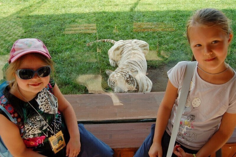 Zdjęcie 12: Dzieci z Piotrkowa na safari w Borysewie 