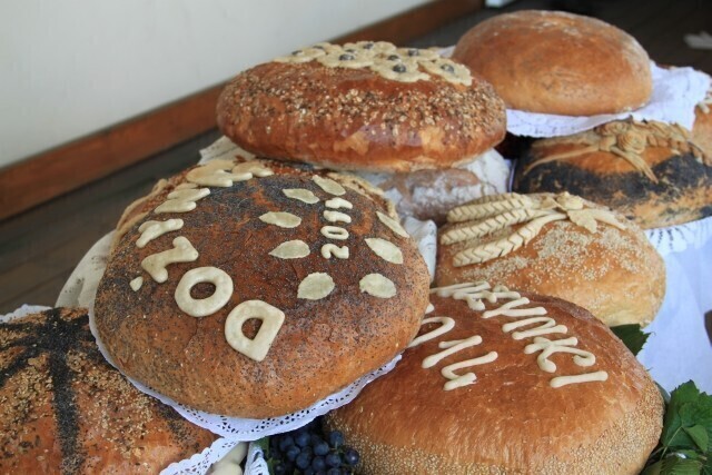 Zdjęcie 5: Moszczenica: Gminne Dożynki