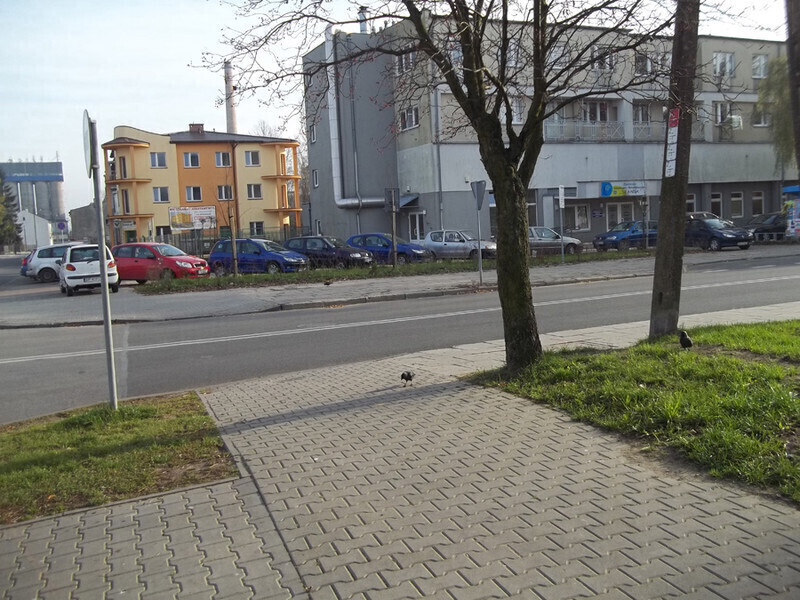 Zdjęcie 5: Jan Dziemdziora wnioskuje o naprawy w mieście