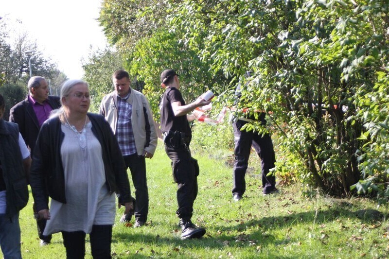 Zdjęcie 10: Awaryjne lądowanie awionetki [video]