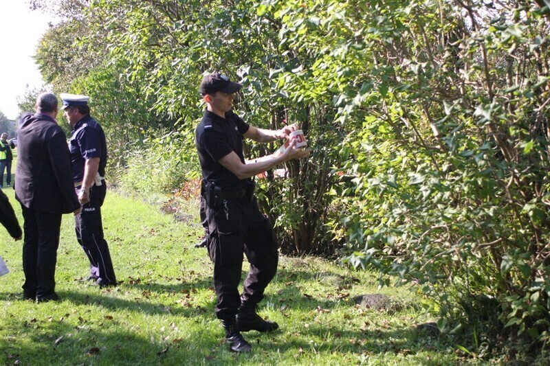 Zdjęcie 11: Awaryjne lądowanie awionetki [video]