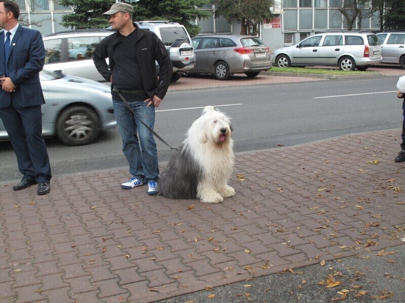 Zdjęcie 2: Wspólnie pomalowali budynek TPS-u