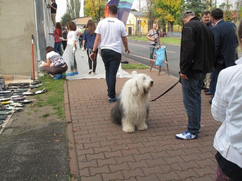 Zdjęcie 15: Wspólnie pomalowali budynek TPS-u