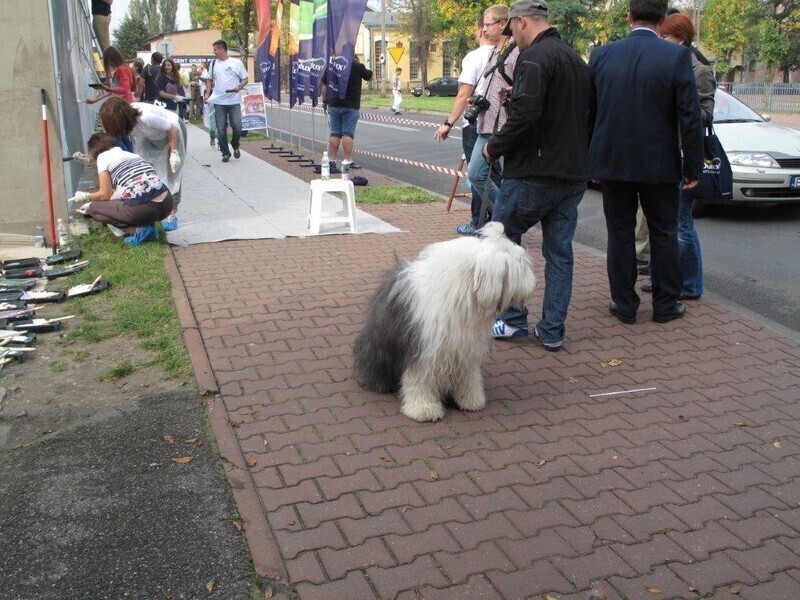 Zdjęcie 16: Wspólnie pomalowali budynek TPS-u