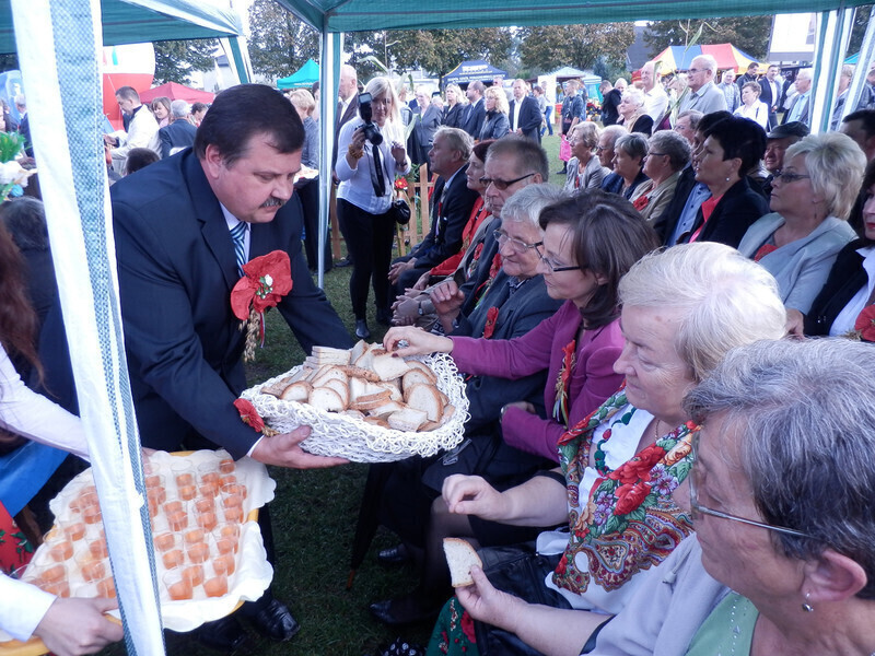 Zdjęcie 2: Dożynki Powiatowe w Rozprzy