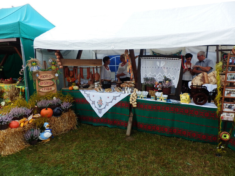 Zdjęcie 5: Dożynki Powiatowe w Rozprzy