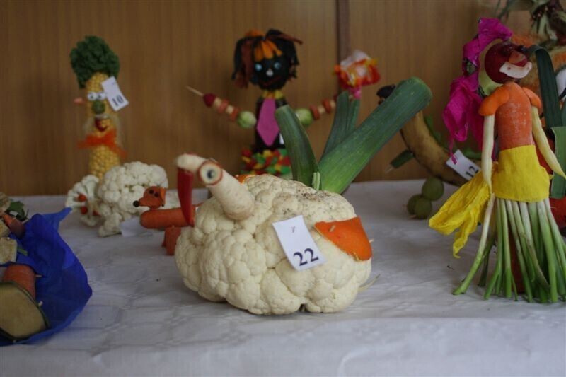 Zdjęcie 4: Fascynująca wystawa w Przedszkolu Samorządowym nr 11