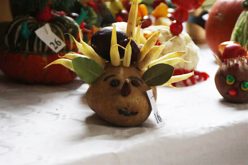 Zdjęcie 5: Fascynująca wystawa w Przedszkolu Samorządowym nr 11