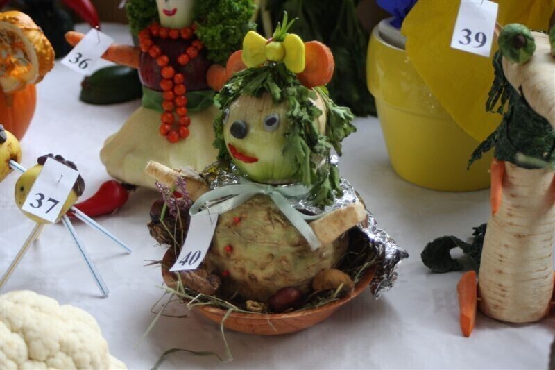 Zdjęcie 9: Fascynująca wystawa w Przedszkolu Samorządowym nr 11