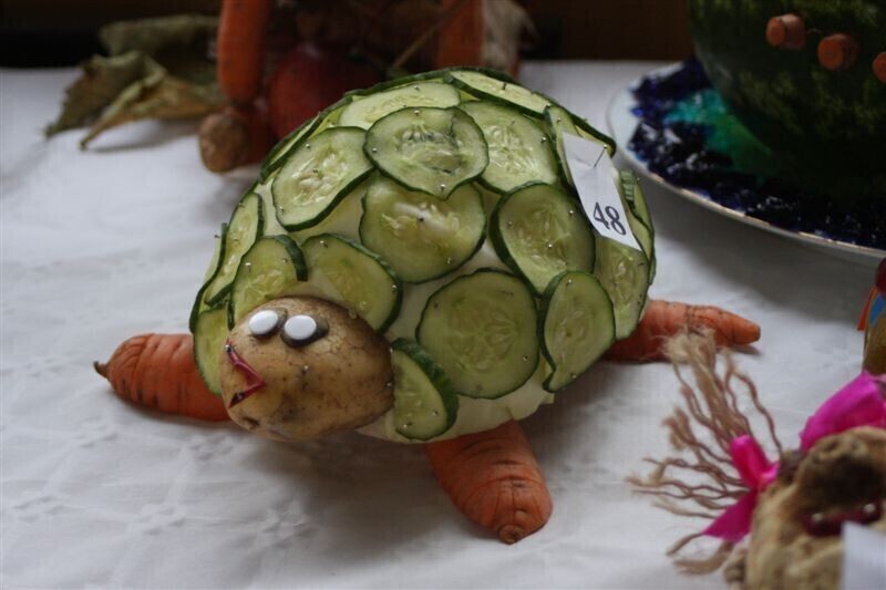 Zdjęcie 11: Fascynująca wystawa w Przedszkolu Samorządowym nr 11