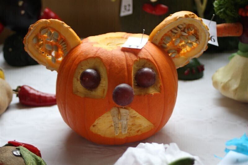 Zdjęcie 15: Fascynująca wystawa w Przedszkolu Samorządowym nr 11