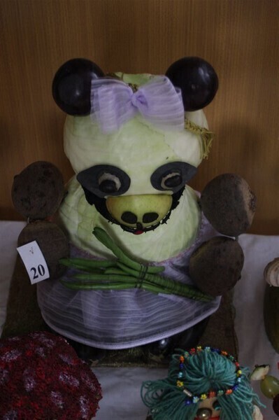 Zdjęcie 19: Fascynująca wystawa w Przedszkolu Samorządowym nr 11