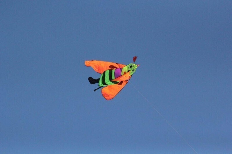 Zdjęcie 17: Święto Latawca na piotrkowskim lotnisku