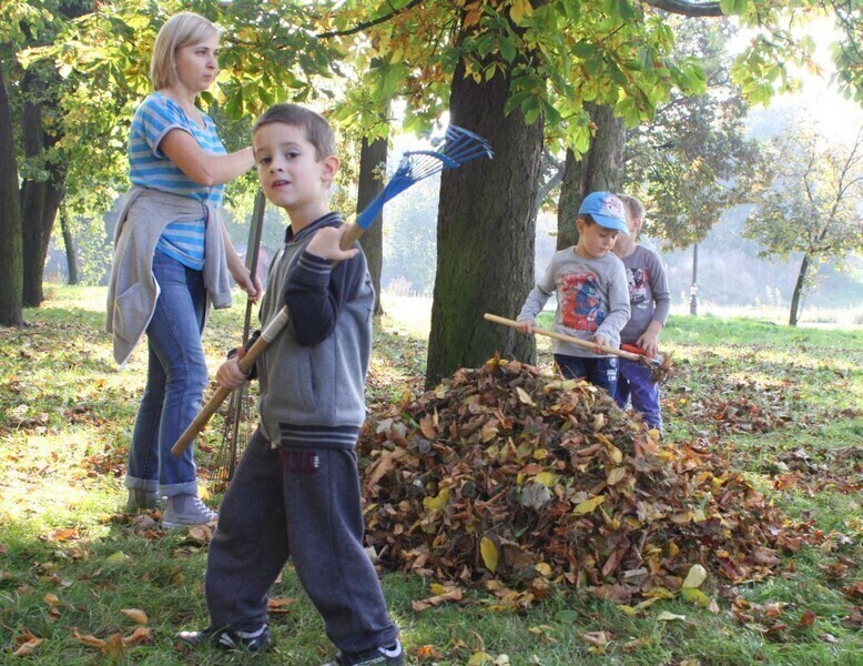 Zdjęcie 3: Przedszkolaki ratują kasztanowce