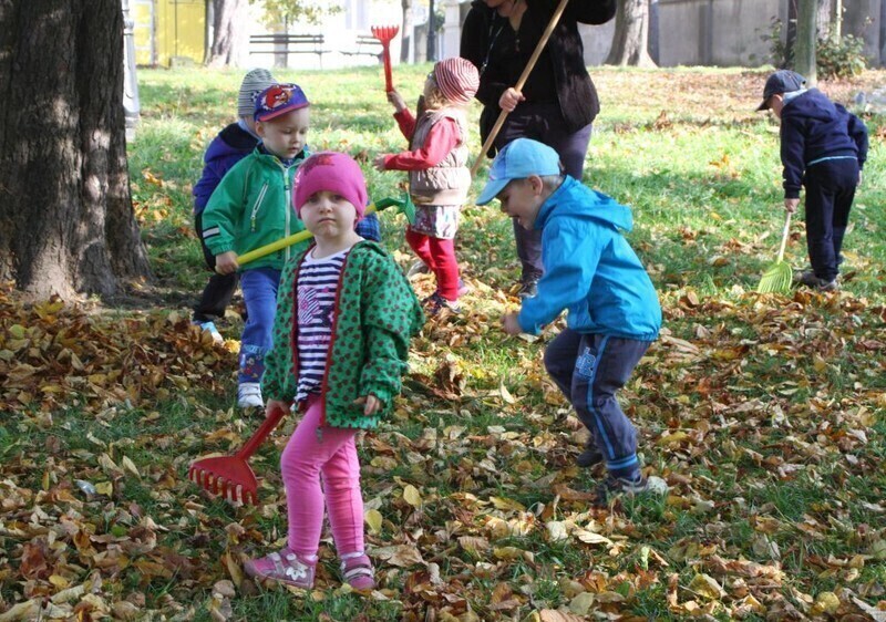 Zdjęcie 5: Przedszkolaki ratują kasztanowce