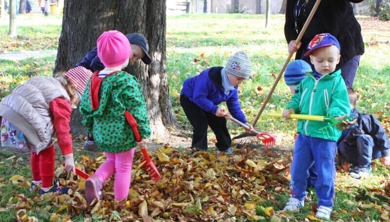 Zdjęcie 6: Przedszkolaki ratują kasztanowce