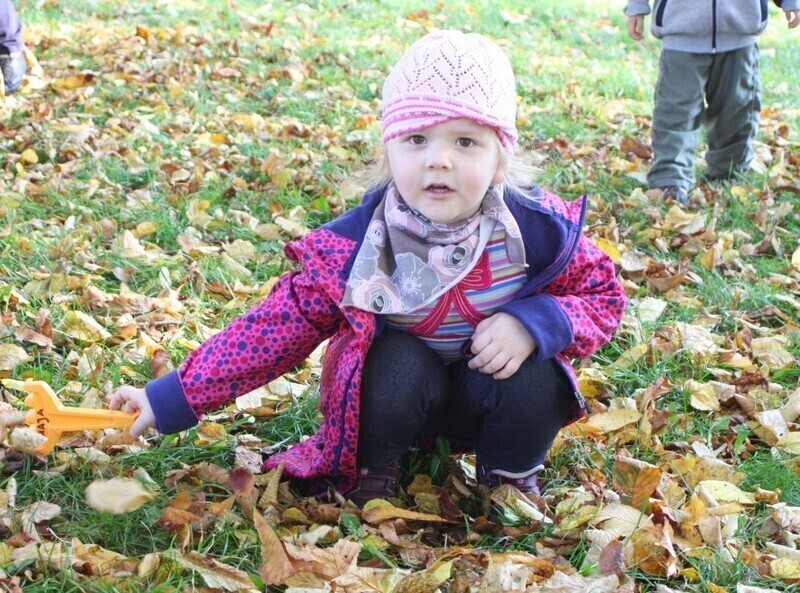 Zdjęcie 8: Przedszkolaki ratują kasztanowce