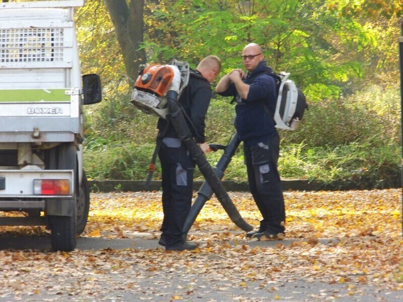 Zdjęcie 2: Czas zacząć Akcję Liść! 