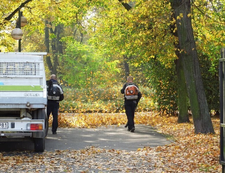 Zdjęcie 3: Czas zacząć Akcję Liść! 