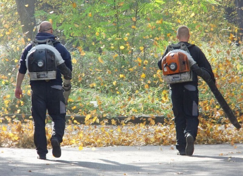 Zdjęcie 4: Czas zacząć Akcję Liść! 