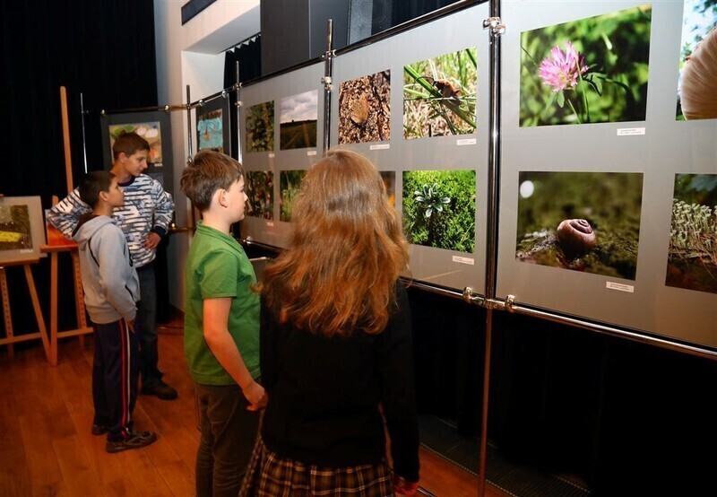 Zdjęcie 3: Pierwszy wielki finał Kolorowej Lokomotywy już za nami