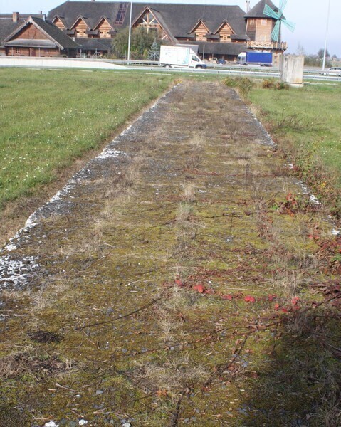 Zdjęcie 7: Kto zadba o pomnik w Polichnie?