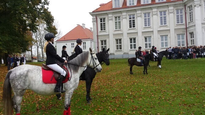 Zdjęcie 1: W Wolborzu gonili za lisem 