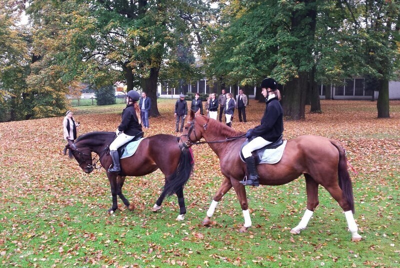 Zdjęcie 3: W Wolborzu gonili za lisem 