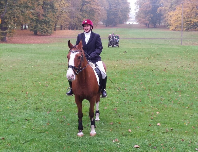 Zdjęcie 4: W Wolborzu gonili za lisem 