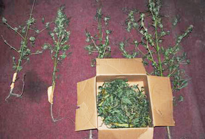 Narkotyki w centrum Piotrkowa zatrzymany 41-latek