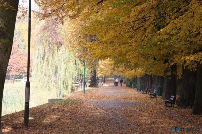 Rewitalizacja parku początek jeszcze w tym roku