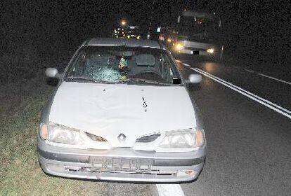 Piesza zginęła w wypadku