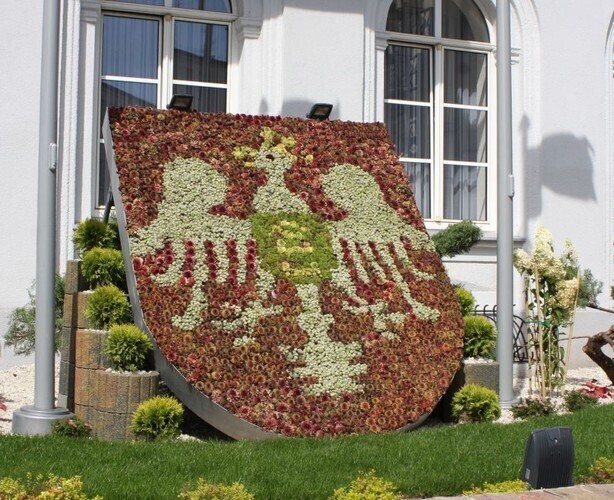 Dziś wybiorą starostę