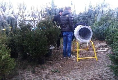 Po choinkę do lasu Uważaj