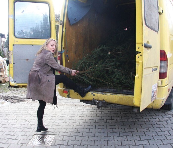 Zdjęcie 7: Oddasz 30 kg, dostaniesz choinkę