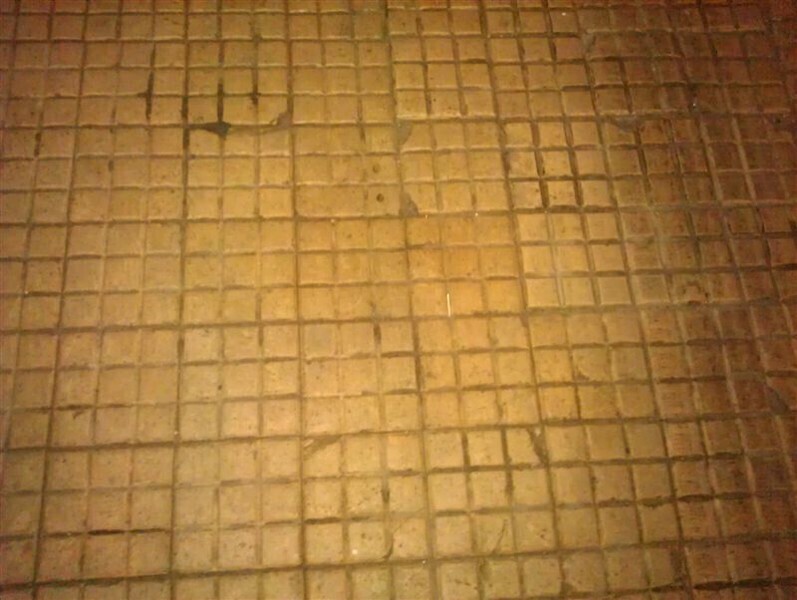 Zdjęcie 15: Skarby pod stopami