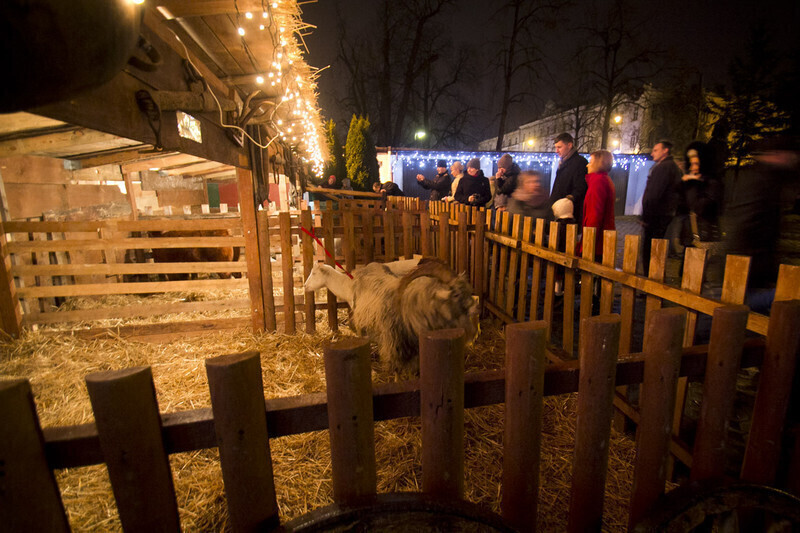Zdjęcie 3: Żywa szopka przy klasztorze oo. Bernardynów