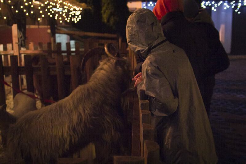 Zdjęcie 6: Żywa szopka przy klasztorze oo. Bernardynów