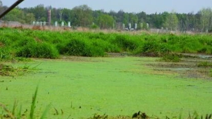 Najlepsze agrokurorty i zwycięzcy „Przyjaznej Wsi”