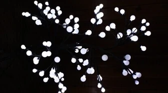 Szczęśliwego Nowego Roku!