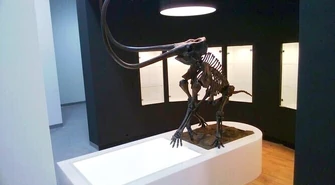 Giganty Mocy – otwarcie już niebawem